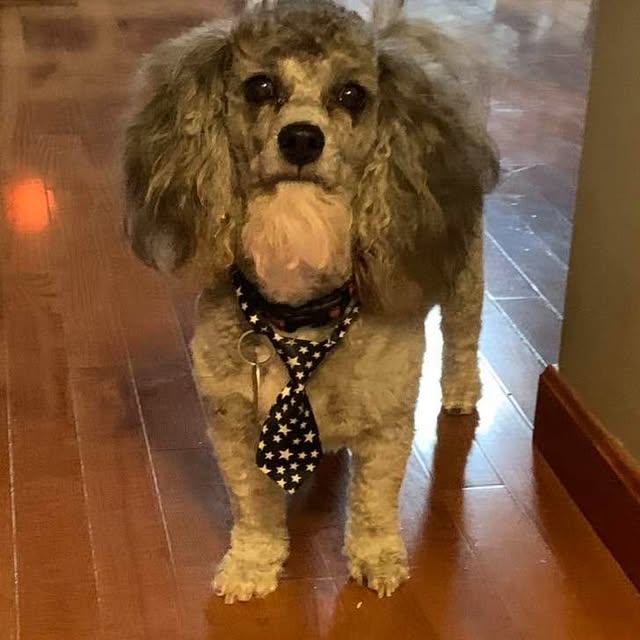 Banner wearing his star tie