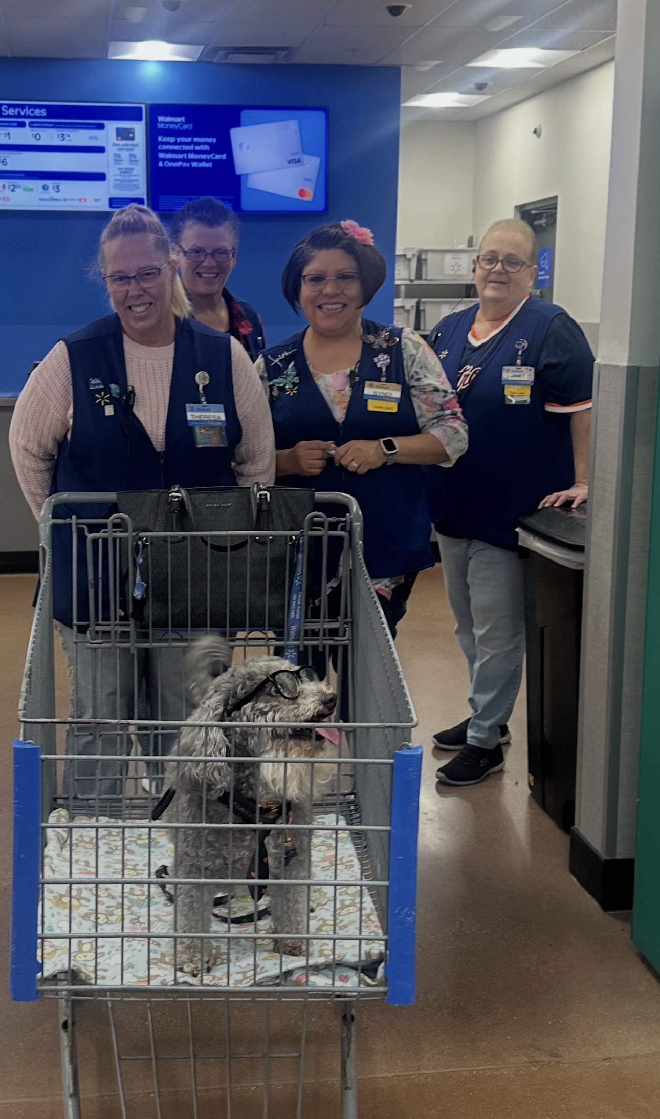 Banner wearing his glasses in a shopping cart with four smiling Walmart employees